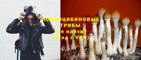 МДМА Богданович