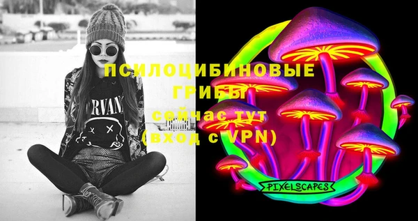 герыч Богородск