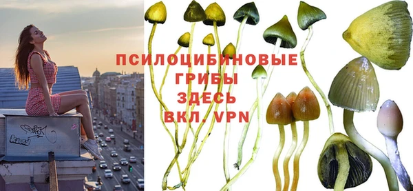соль курить ск Богородицк