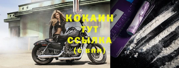 соль курить ск Богородицк