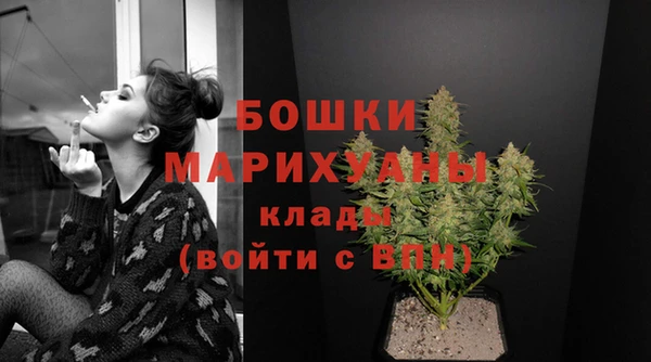 молекула духа Ростов
