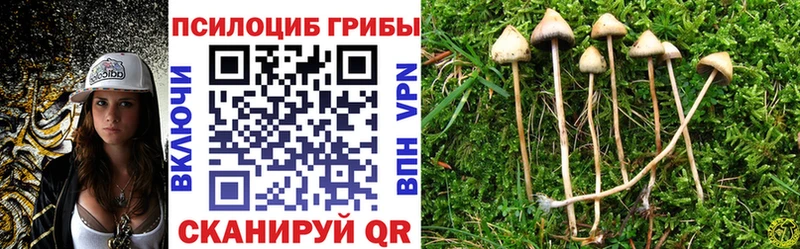 Галлюциногенные грибы прущие грибы  где можно купить наркотик  Буйнакск 