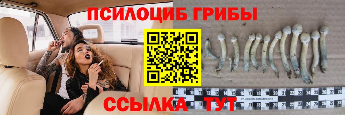 Псилоцибиновые грибы мицелий Буйнакск
