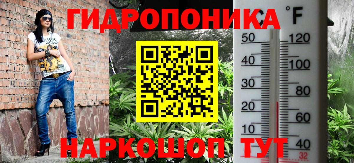 Бошки марихуана конопля Буйнакск